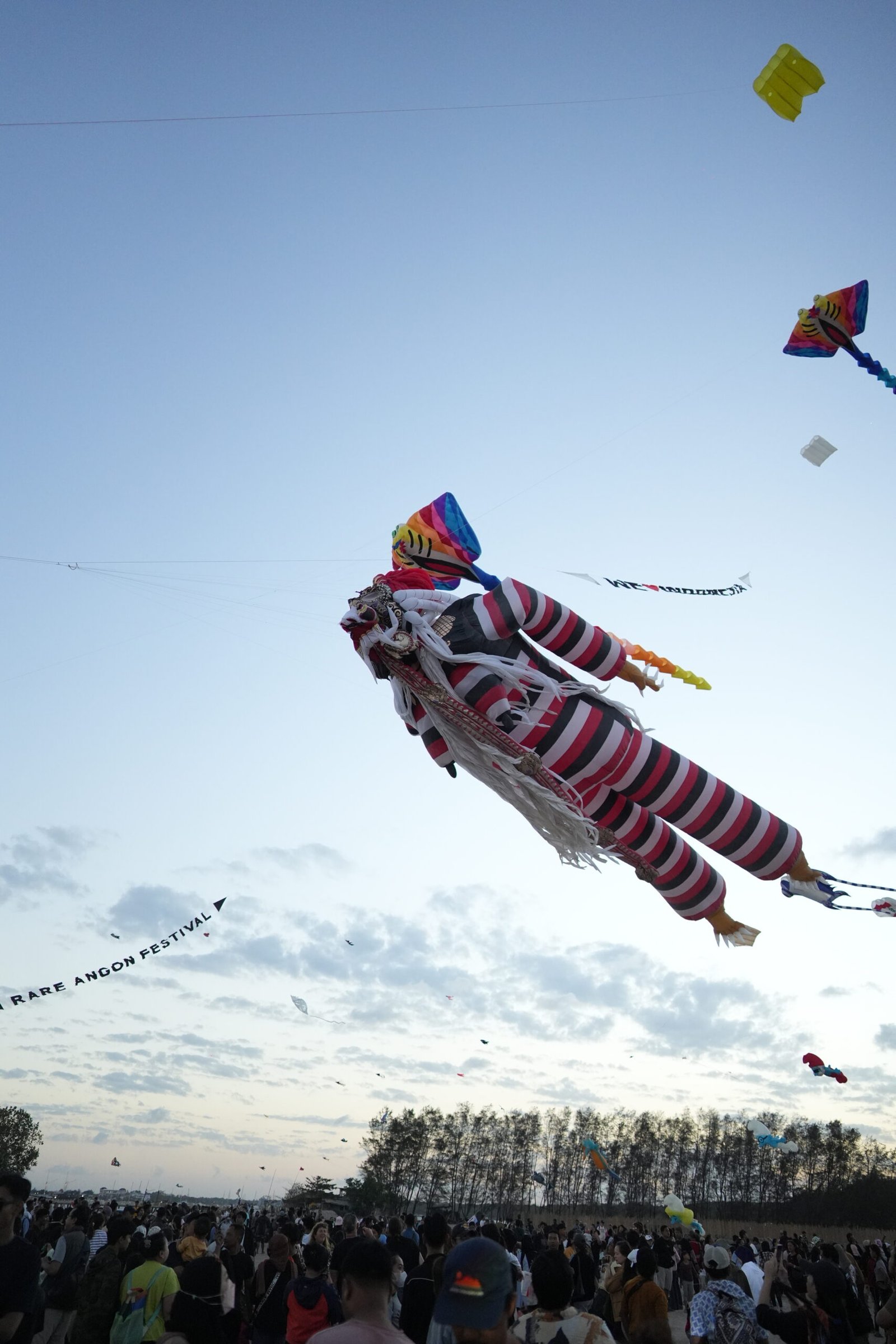 Rare Angon Festival Sanur: Bali’s Kites Meet the World